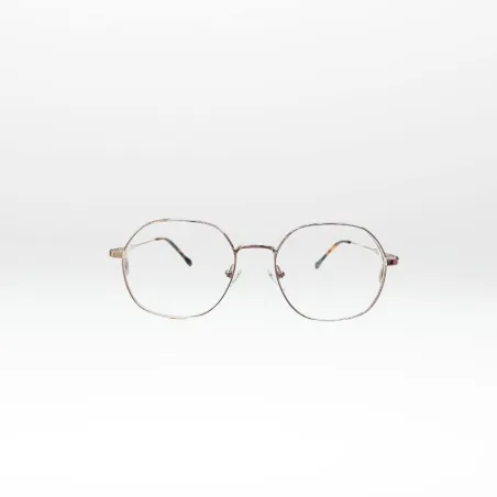 Lunettes optique Femme SWING – Monture Métal Or Pâle & Argentée | GOTTA