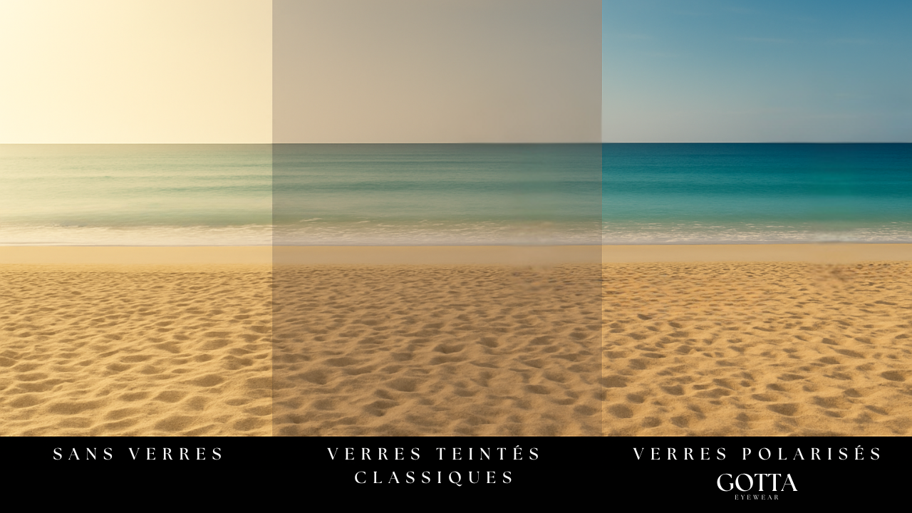 Pourquoi choisir des verres polarisés ?
